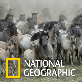 Winnende foto National Geographic